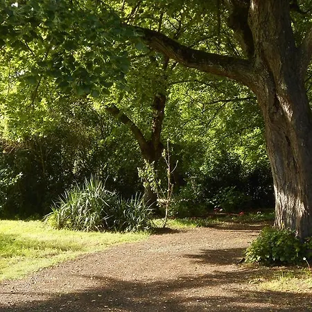 Clos Du Bois Brard Nocleg ze śniadaniem Saumur