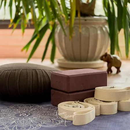 Clos Du Bois Brard 3* Сомюр