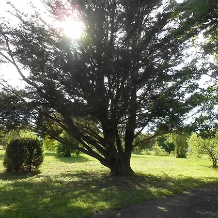 Clos Du Bois Brard 3*