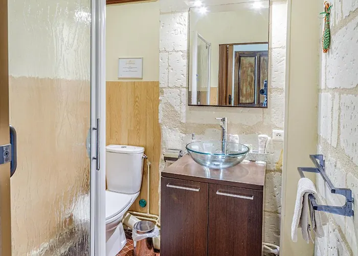 Clos Du Bois Brard 3* Сомюр