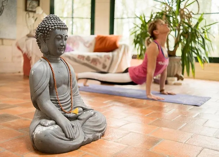 Clos Du Bois Brard Bed & Breakfast Saumur