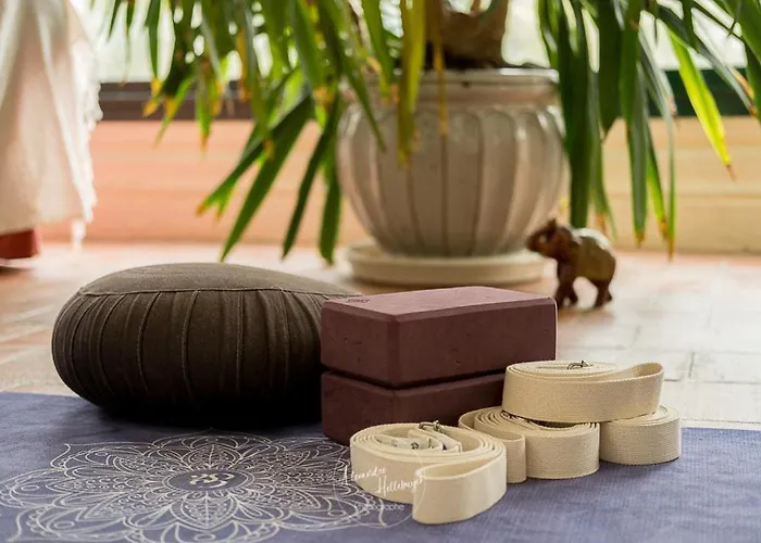 Clos Du Bois Brard 3* Сомюр