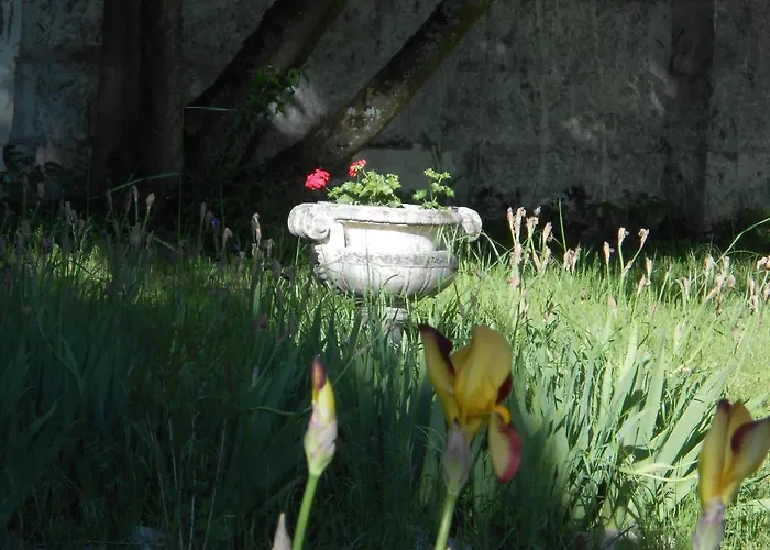 Bed & Breakfast Clos Du Bois Brard