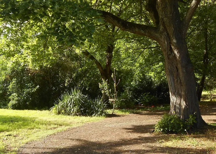 Bed & Breakfast Clos Du Bois Brard Saumur