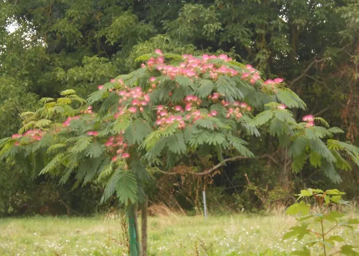 Clos Du Bois Brard Bed & Breakfast 3*