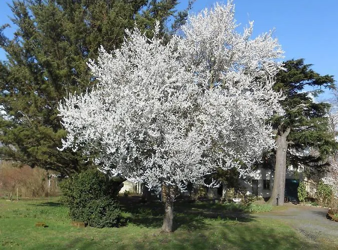 Bed & Breakfast Clos Du Bois Brard 3*